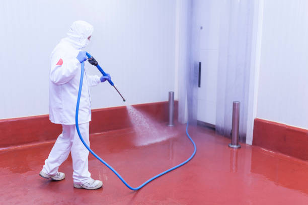 Best Pre-Holiday Cleaning  in Cutlerville, MI